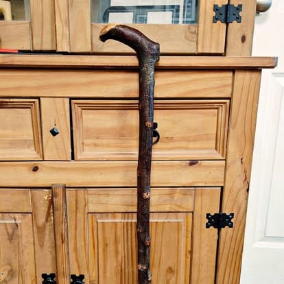 The Shepherd's Crook