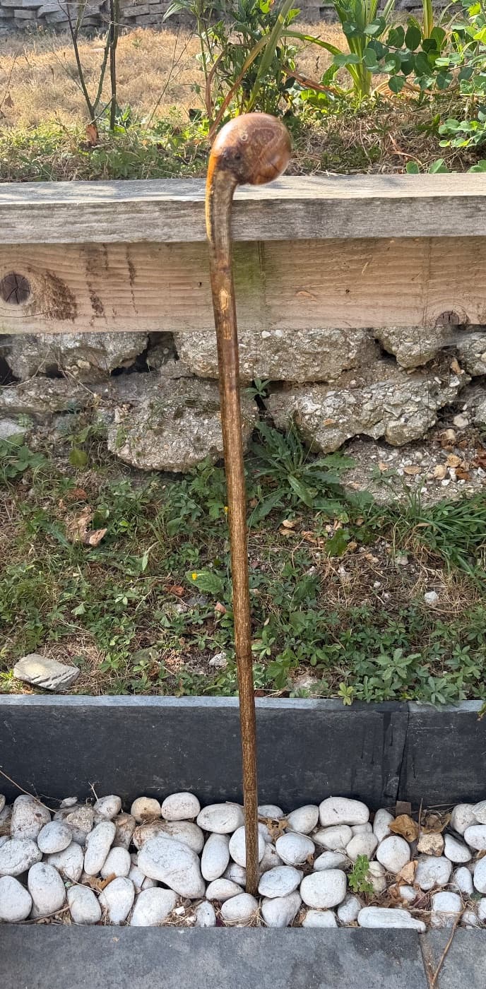 Nutcracker Hazel Shillelagh