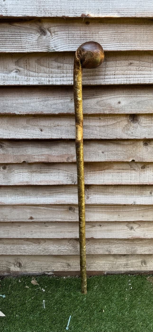 Burl Hazel Shillelagh