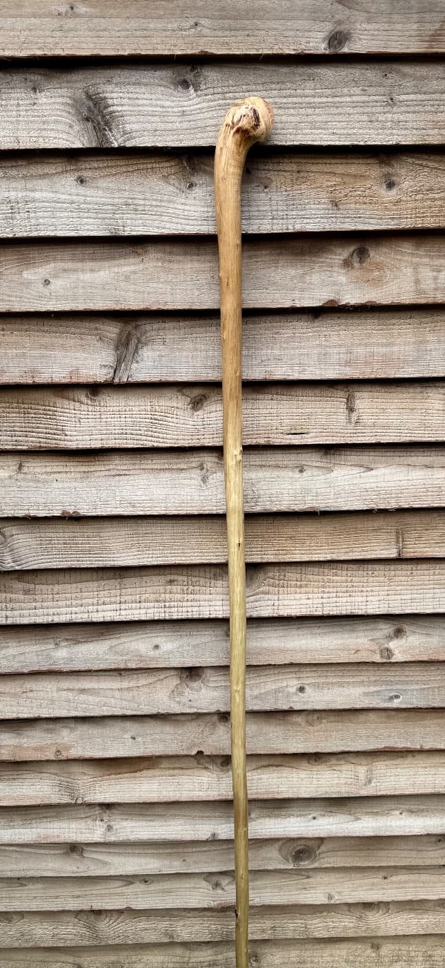 Horn-Bone-Handled Hazel Staff