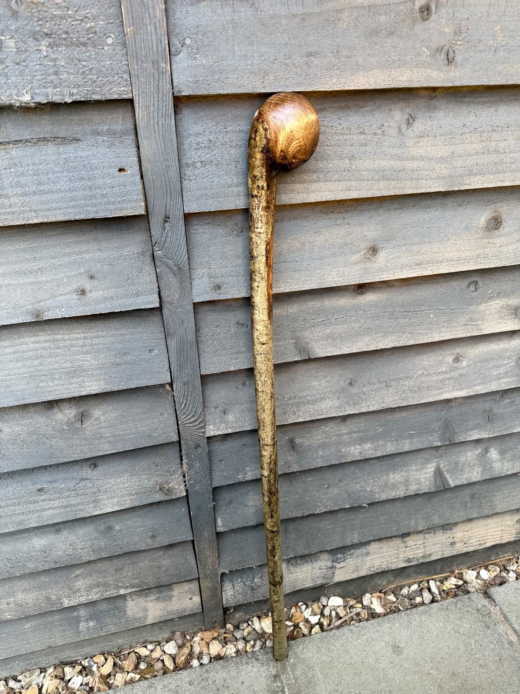 Hazel Shillelagh Knob Stick